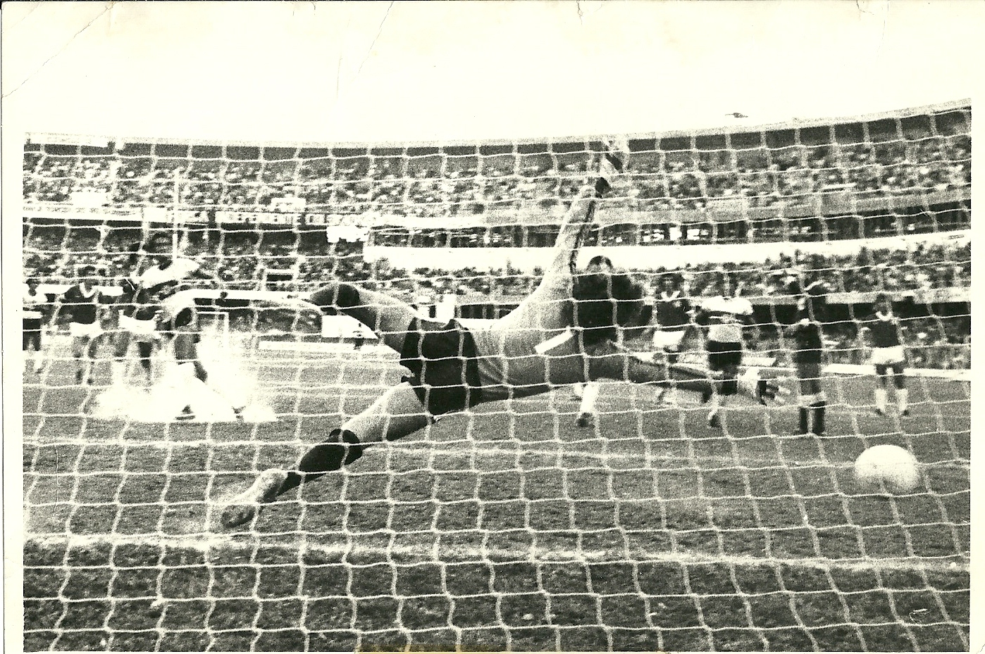 Gasperin leva gol.jpg