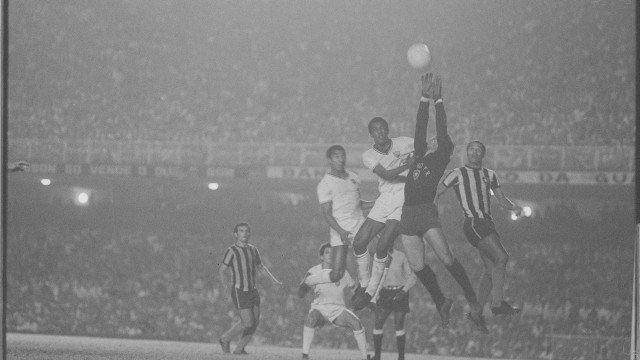 UMA CAMISA CÚMPLICE DE TÍTULOS