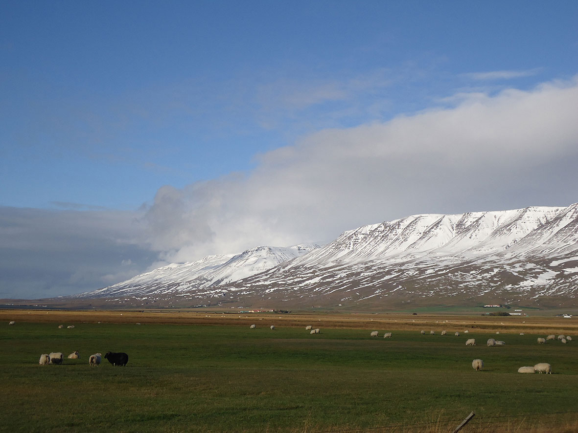 islandia10.jpg