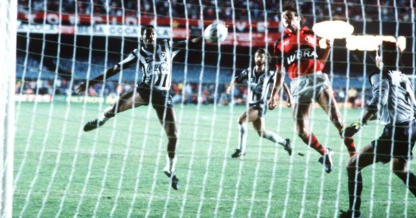 BOTAFOGO, 1989, EM NOME DA BOLA