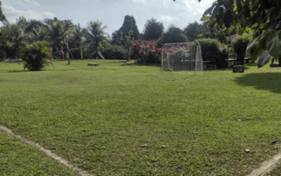 CAMPO VAZIO